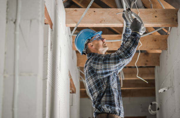 Best Affordable Electrician  in Sidney, IL