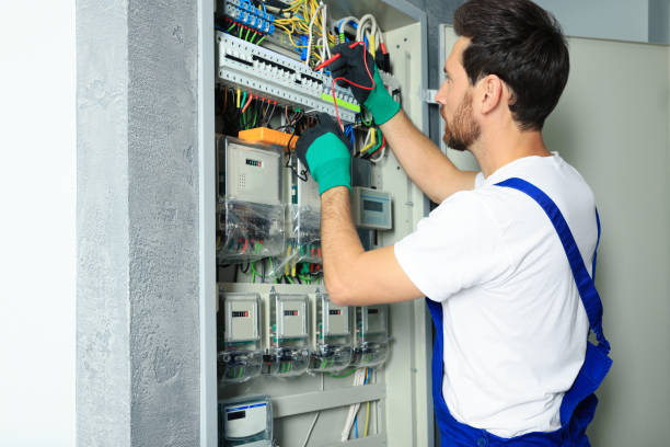 Best Electrical Upgrades for Homes  in Sidney, IL