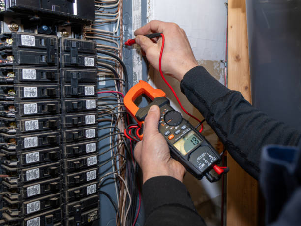 Best Residential Electrician Services  in Sidney, IL